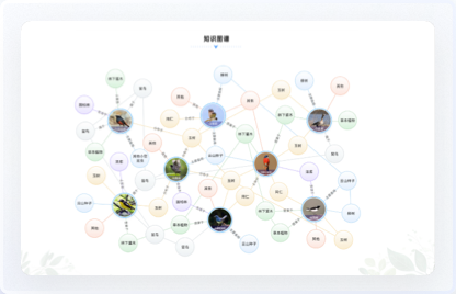 青海鳥類資源庫網站設計、交互設計、UI設計、鳥類資源庫網站設計、高端網站設計