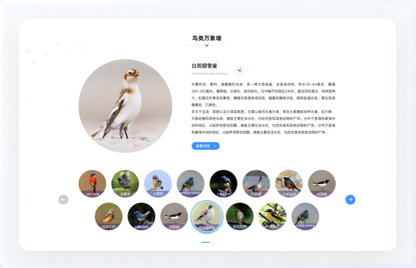青海鳥類資源庫網站設計、交互設計、UI設計、鳥類資源庫網站設計、高端網站設計
